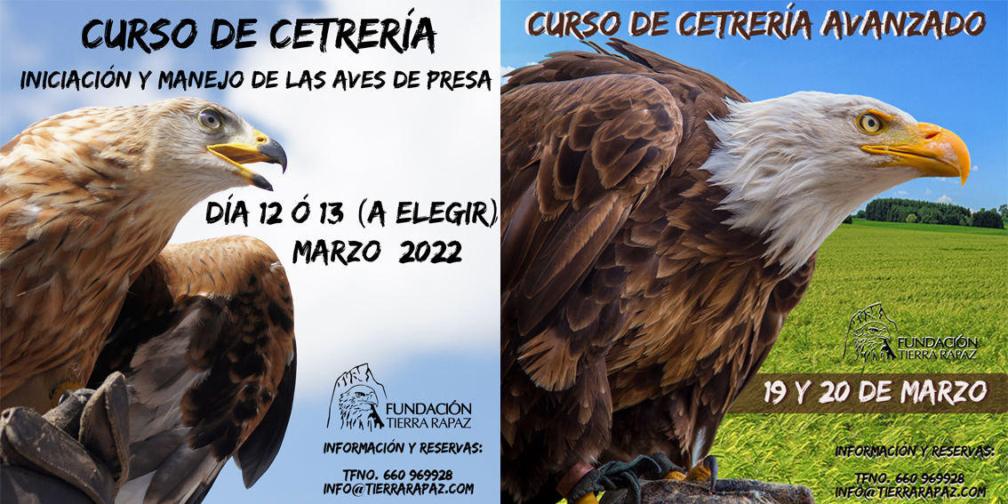 Cursos de Cetrería Marzo 2022. Fundación Tierra Rapaz. Reserva tu curso