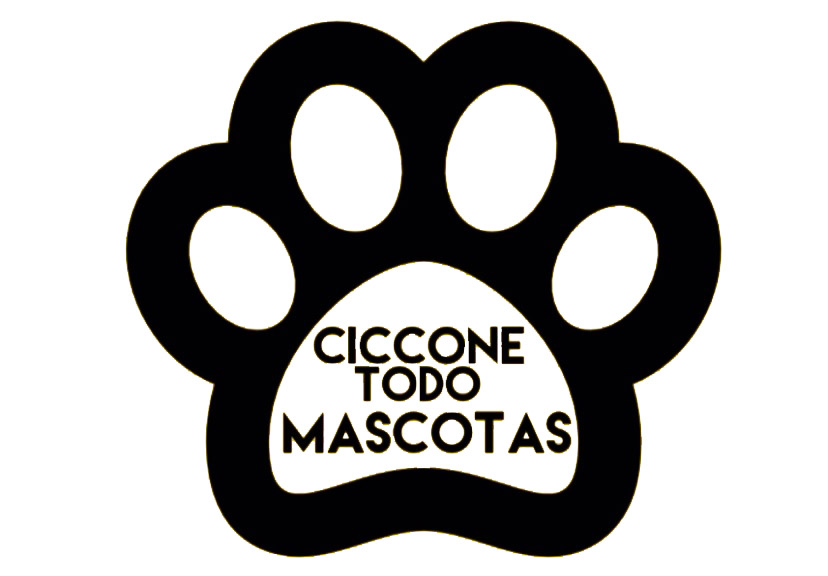 Logo padrino Fundación Tierra Rapaz Ciccone
