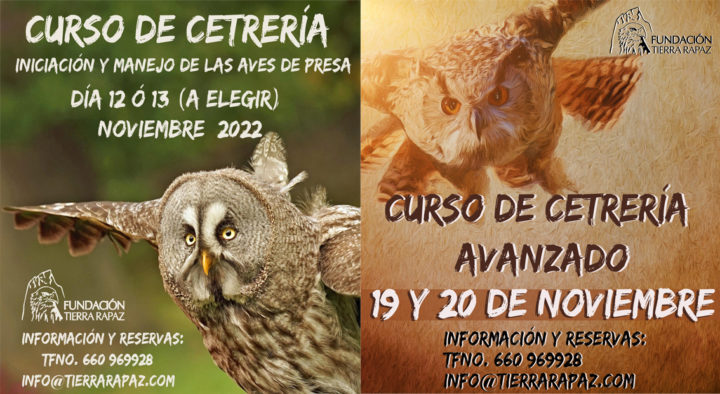 Cursos de cetrería en Tierra Rapaz. Noviembre 2022