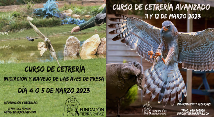 Cursos de cetrería en Tierra Rapaz. Marzo 2023